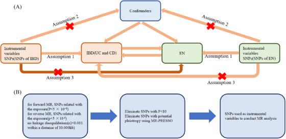 https://cdn.ncbi.nlm.nih.gov/pmc/blobs/6c33/10831198/93588884e5d6/SRT-30-e13600-g002.jpg
