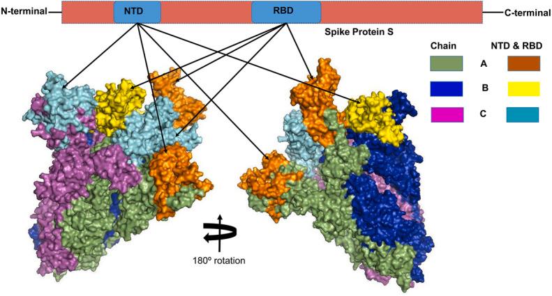 https://cdn.ncbi.nlm.nih.gov/pmc/blobs/6c33/7394063/5a3575b38014/peerj-08-9572-g001.jpg