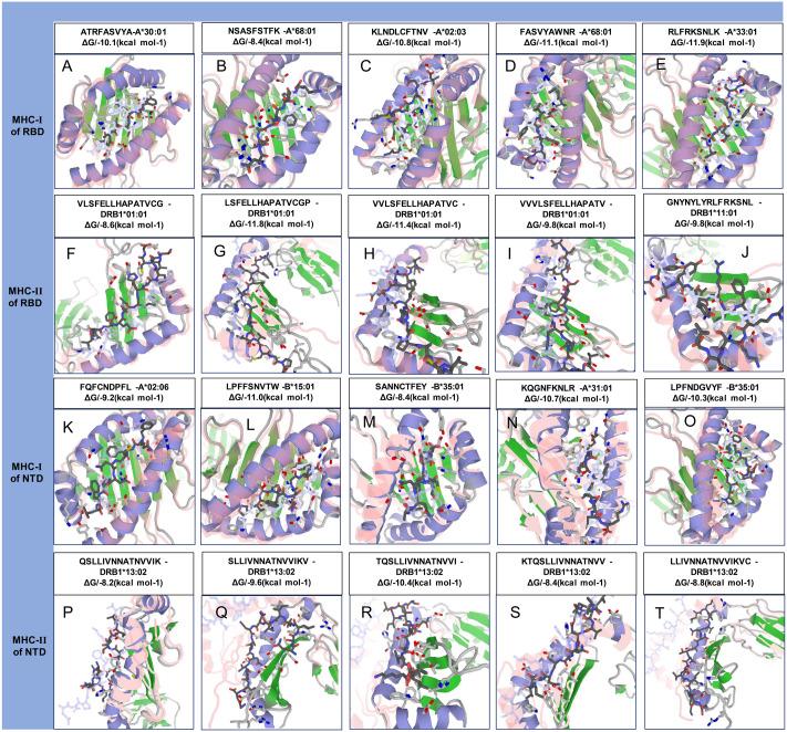 https://cdn.ncbi.nlm.nih.gov/pmc/blobs/6c33/7394063/b7dc9e687297/peerj-08-9572-g004.jpg