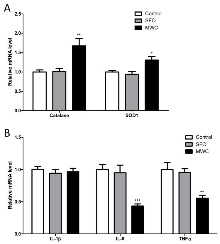 https://cdn.ncbi.nlm.nih.gov/pmc/blobs/6c34/10609892/5982dc0a453c/nutrients-15-04411-g002.jpg