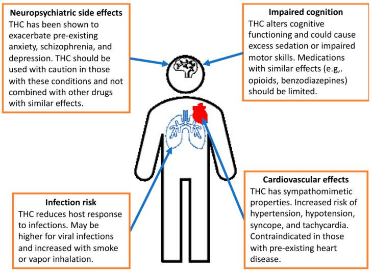 https://cdn.ncbi.nlm.nih.gov/pmc/blobs/6c35/11352579/2df09863b3b6/cancers-16-02909-g003.jpg