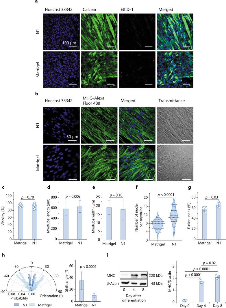 https://cdn.ncbi.nlm.nih.gov/pmc/blobs/6c37/12147073/3902a80a7924/am5c03479_0005.jpg