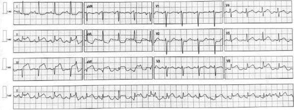 https://cdn.ncbi.nlm.nih.gov/pmc/blobs/6c3a/11135823/4164e8eca13d/JCE-34-35-g001.jpg