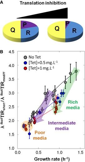 https://cdn.ncbi.nlm.nih.gov/pmc/blobs/6c3b/5683663/a2daeac51616/MSB-12-870-g012.jpg
