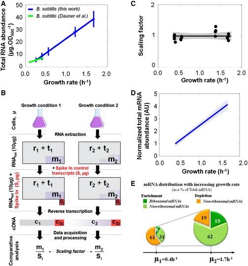 https://cdn.ncbi.nlm.nih.gov/pmc/blobs/6c3b/5683663/b46d970db76f/MSB-12-870-g002.jpg