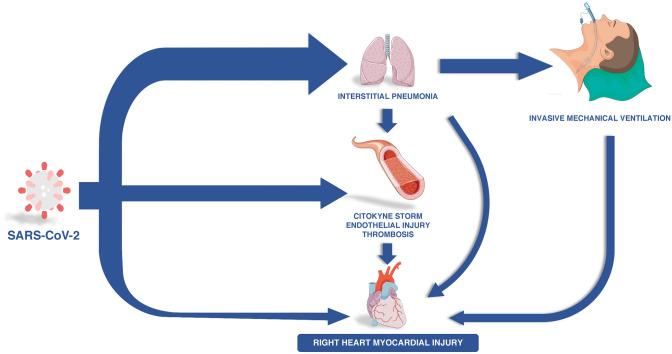 https://cdn.ncbi.nlm.nih.gov/pmc/blobs/6c3b/8295549/29ff32e3831a/10554_2021_2353_Fig2_HTML.jpg