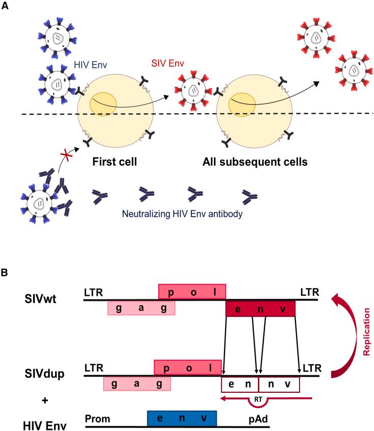 https://cdn.ncbi.nlm.nih.gov/pmc/blobs/6c3c/10591032/2f4c22919503/gr1.jpg