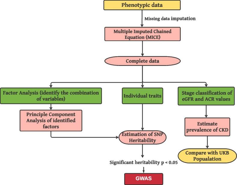 https://cdn.ncbi.nlm.nih.gov/pmc/blobs/6c3c/10860247/45f8cdad1efe/13073_2024_1299_Fig1_HTML.jpg