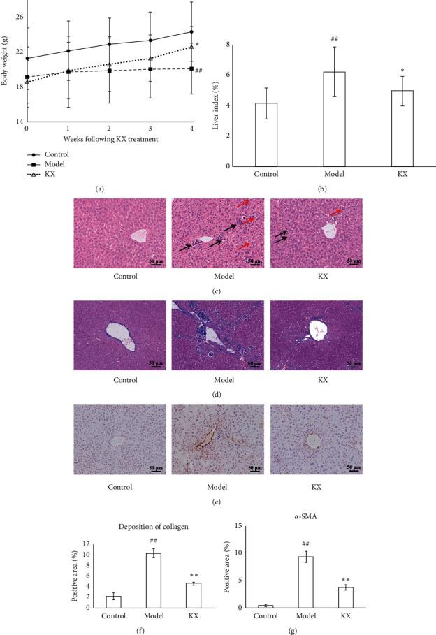 https://cdn.ncbi.nlm.nih.gov/pmc/blobs/6c3c/7596455/90bcd820fc2f/ECAM2020-8890182.002.jpg
