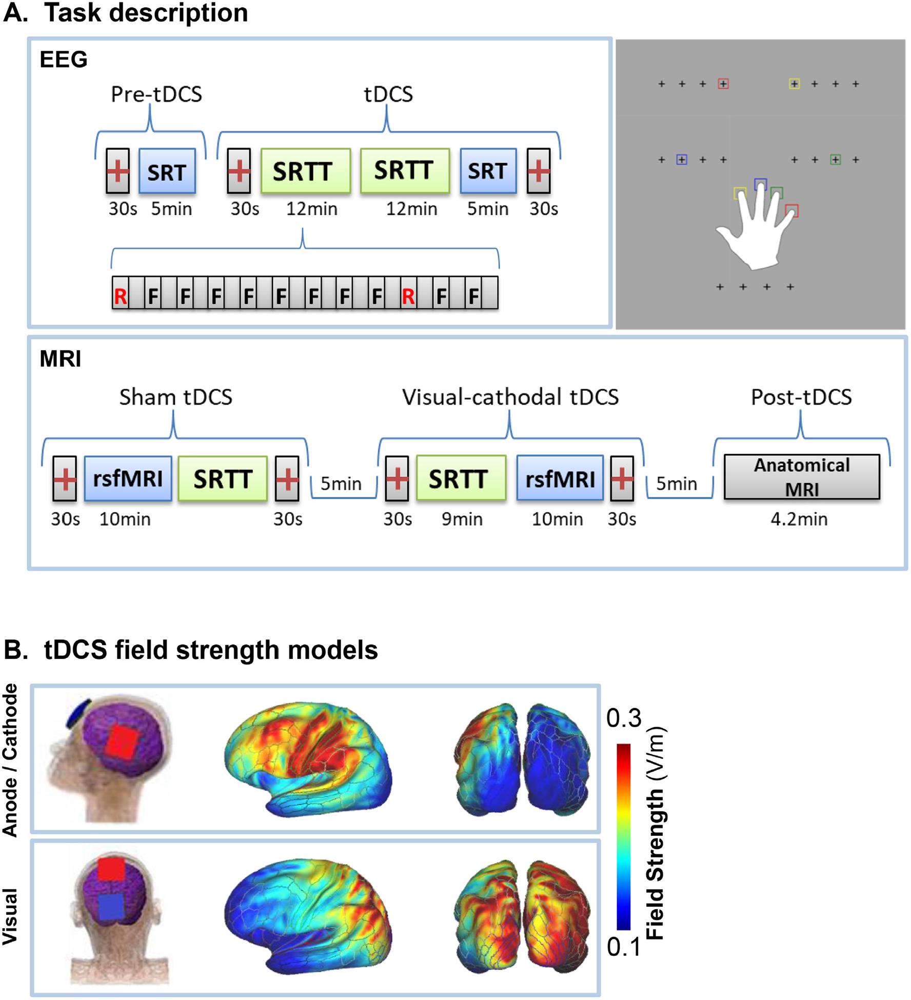 https://cdn.ncbi.nlm.nih.gov/pmc/blobs/6c3d/7778833/68688a78b631/nihms-1657547-f0001.jpg