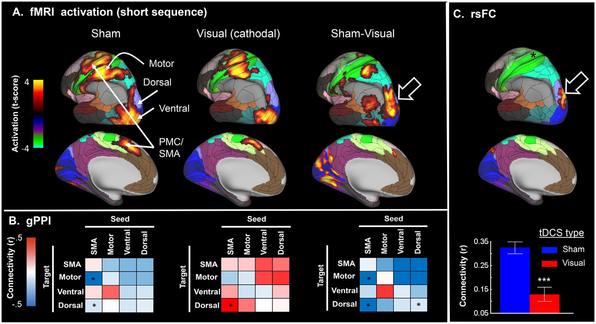 https://cdn.ncbi.nlm.nih.gov/pmc/blobs/6c3d/7778833/cab3115a91e4/nihms-1657547-f0005.jpg