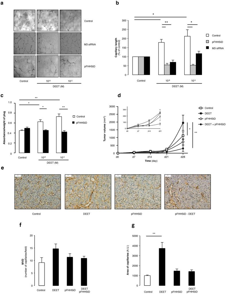 https://cdn.ncbi.nlm.nih.gov/pmc/blobs/6c40/4921870/d439dd125f6e/srep28546-f1.jpg