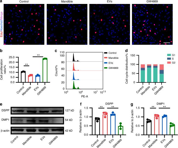 https://cdn.ncbi.nlm.nih.gov/pmc/blobs/6c42/12034755/bd50e18cb4b7/41368_2025_348_Fig3_HTML.jpg