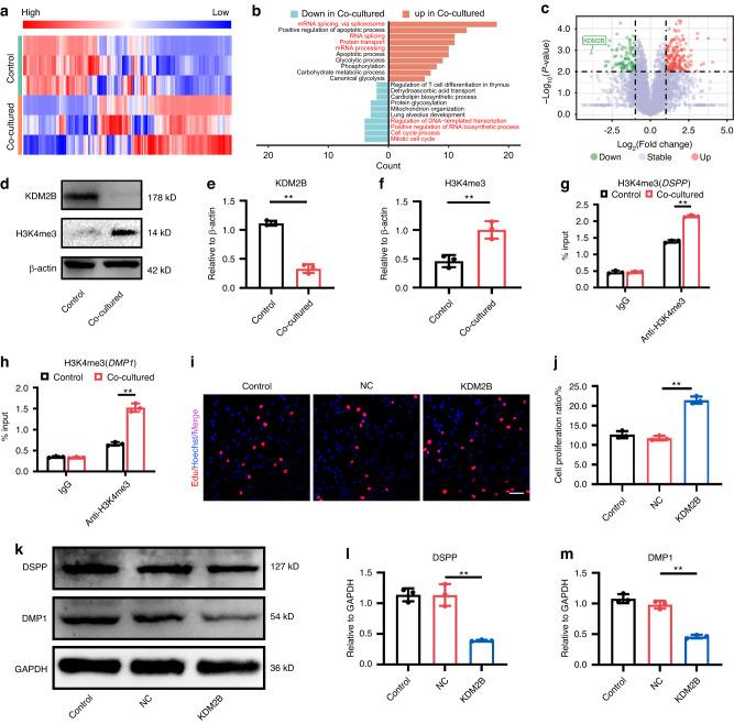 https://cdn.ncbi.nlm.nih.gov/pmc/blobs/6c42/12034755/e8cd48c9005e/41368_2025_348_Fig4_HTML.jpg