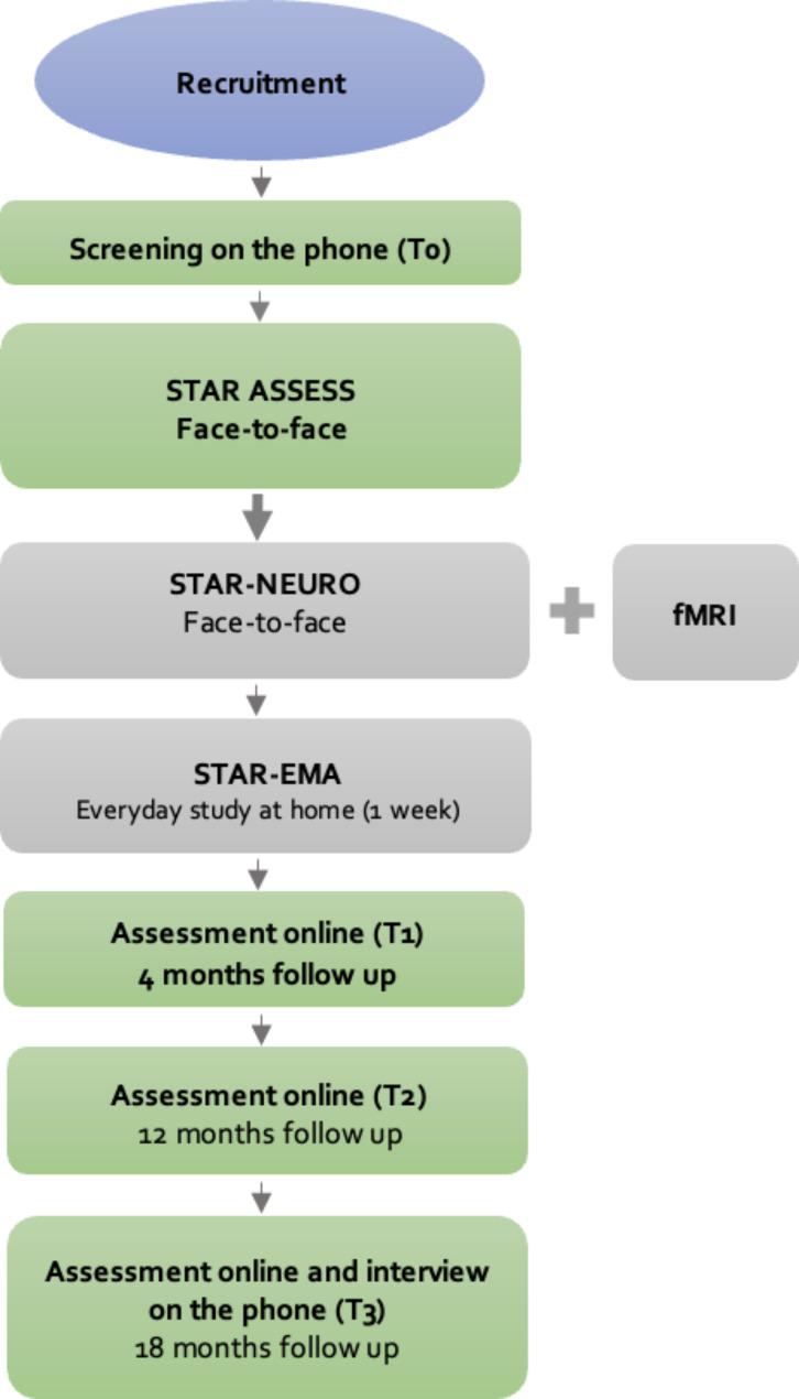 https://cdn.ncbi.nlm.nih.gov/pmc/blobs/6c44/11526562/a6a98322a70f/13034_2024_820_Fig2_HTML.jpg
