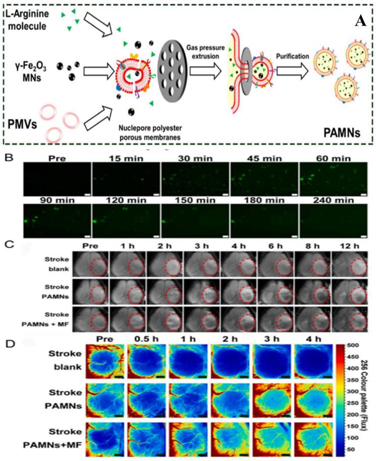 https://cdn.ncbi.nlm.nih.gov/pmc/blobs/6c44/11766075/8aa1456f7979/jfb-16-00008-g005.jpg