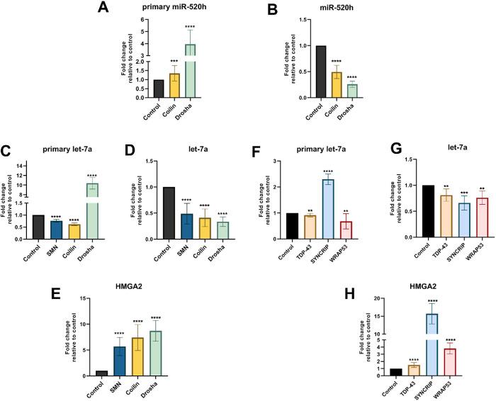 https://cdn.ncbi.nlm.nih.gov/pmc/blobs/6c45/7521794/7482a3576ed0/mbc-31-1561-g002.jpg