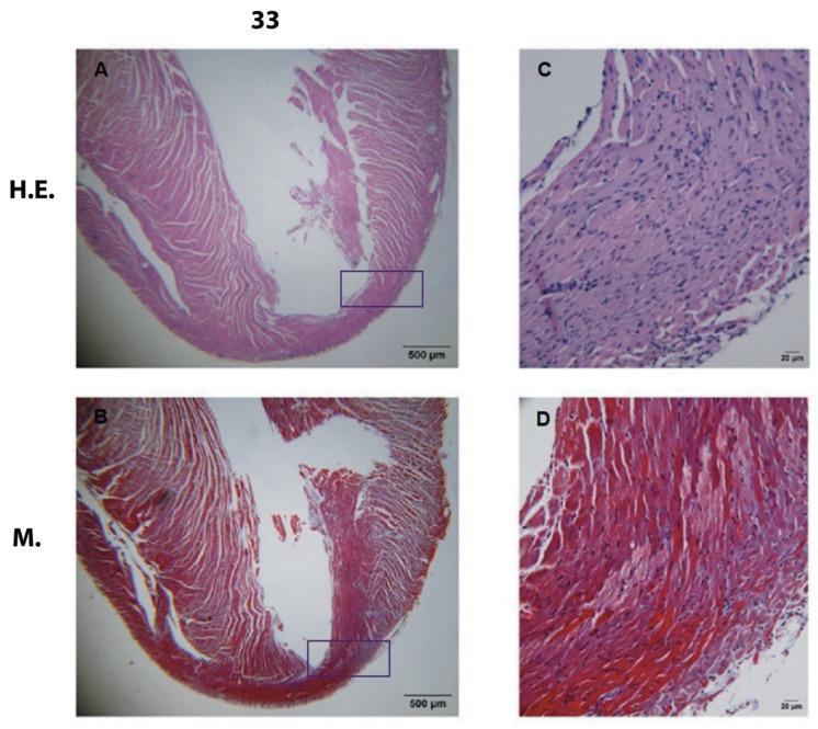 https://cdn.ncbi.nlm.nih.gov/pmc/blobs/6c46/10534729/6db577c9e0dd/pathogens-12-01084-g003.jpg