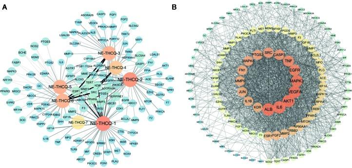 https://cdn.ncbi.nlm.nih.gov/pmc/blobs/6c46/7176980/f0eae5d14418/fphar-11-00425-g002.jpg