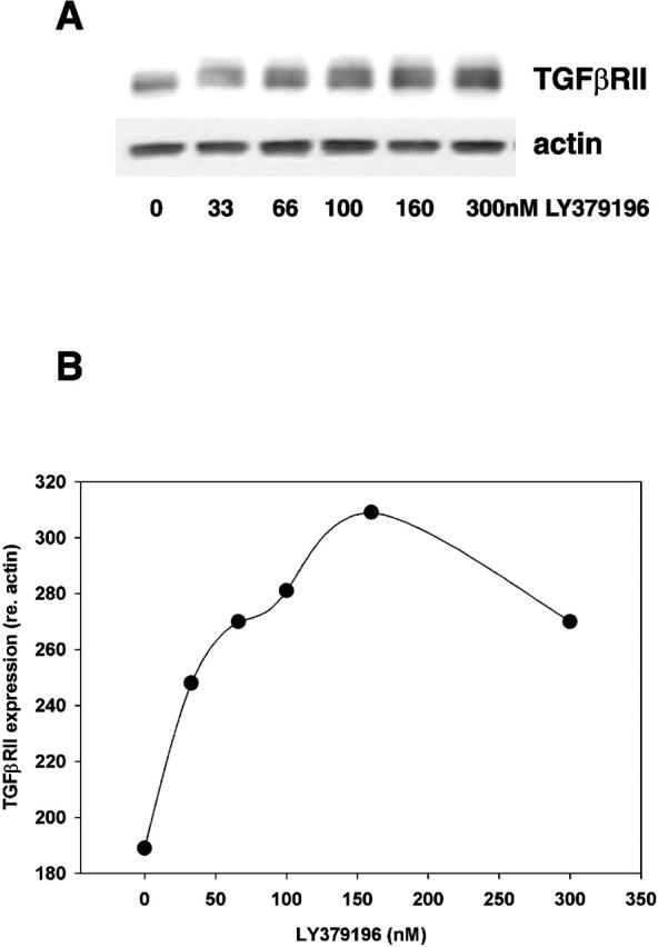 https://cdn.ncbi.nlm.nih.gov/pmc/blobs/6c47/2174056/5c153b45b7c1/0201127f4.jpg