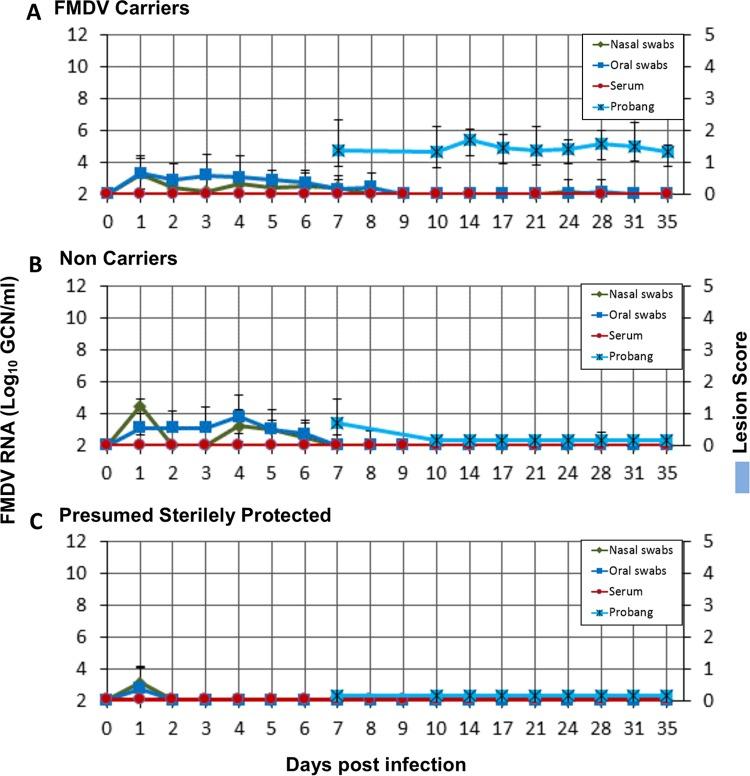 https://cdn.ncbi.nlm.nih.gov/pmc/blobs/6c47/4936139/487810e80beb/zjv9991817620002.jpg