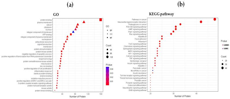 https://cdn.ncbi.nlm.nih.gov/pmc/blobs/6c47/8347796/c28580f9a05c/ijms-22-08075-g002.jpg