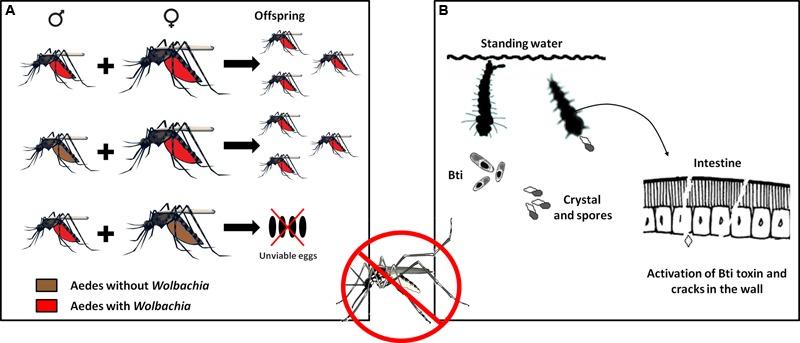 https://cdn.ncbi.nlm.nih.gov/pmc/blobs/6c48/5423913/4333101cf9d5/fmicb-08-00827-g003.jpg