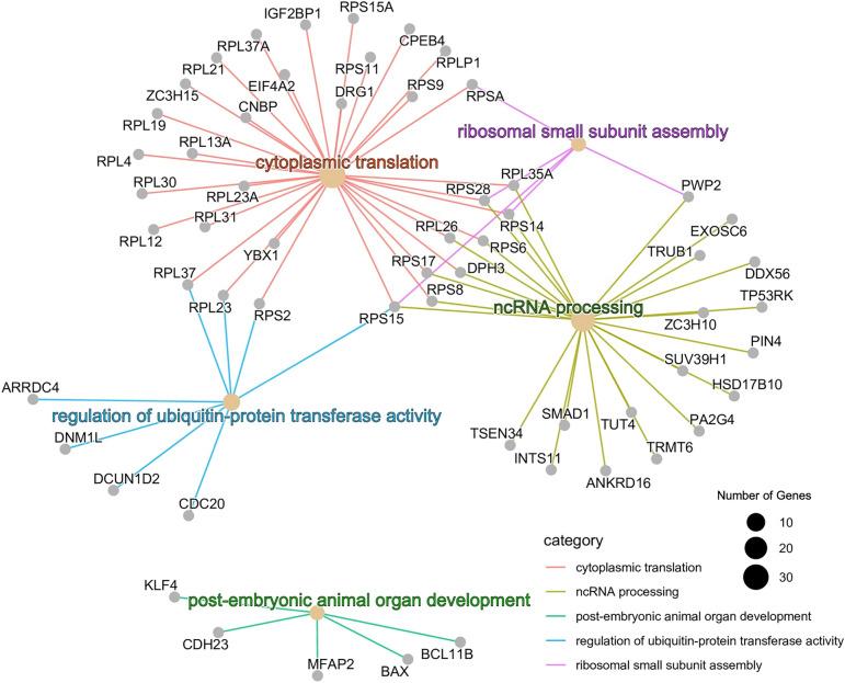 https://cdn.ncbi.nlm.nih.gov/pmc/blobs/6c49/9867765/0ad9f3fdee07/41598_2023_27962_Fig3_HTML.jpg