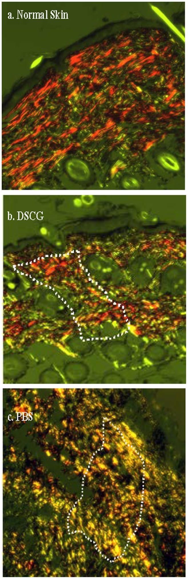 https://cdn.ncbi.nlm.nih.gov/pmc/blobs/6c4a/3898956/04cc4f36487a/pone.0085226.g002.jpg