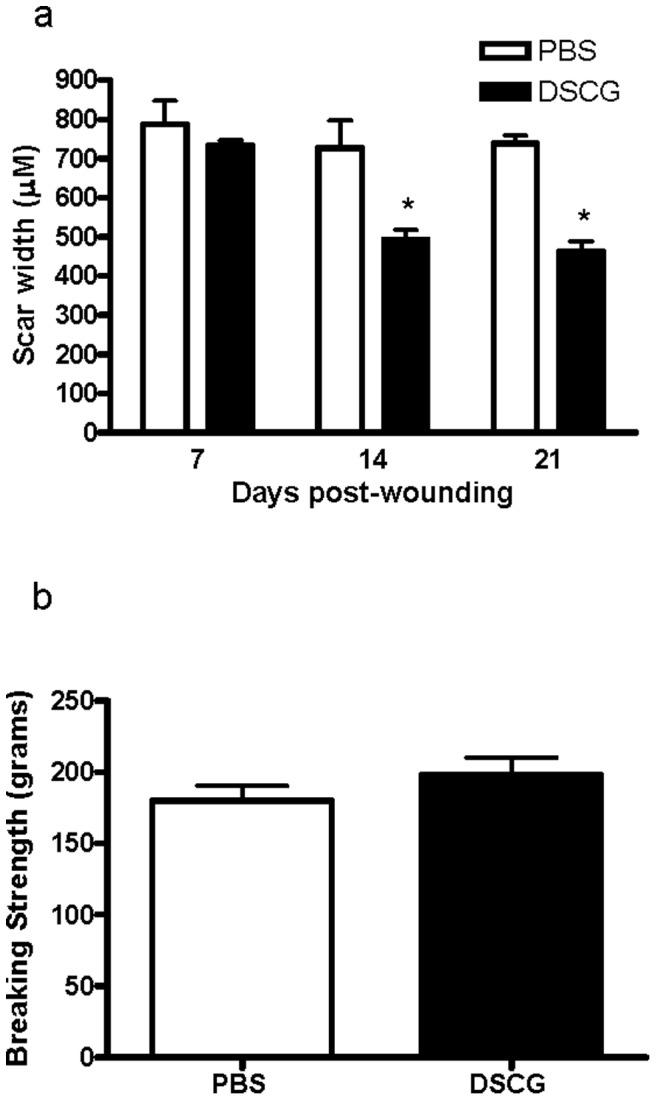 https://cdn.ncbi.nlm.nih.gov/pmc/blobs/6c4a/3898956/8994fc9bd52f/pone.0085226.g004.jpg