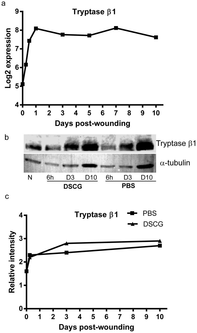 https://cdn.ncbi.nlm.nih.gov/pmc/blobs/6c4a/3898956/b7ce8cf1d5c2/pone.0085226.g008.jpg