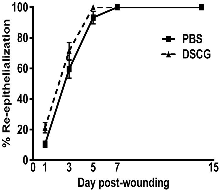 https://cdn.ncbi.nlm.nih.gov/pmc/blobs/6c4a/3898956/e751973cd933/pone.0085226.g006.jpg