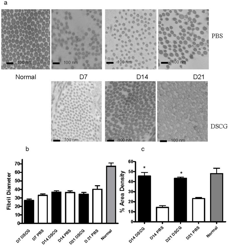 https://cdn.ncbi.nlm.nih.gov/pmc/blobs/6c4a/3898956/ede629429e52/pone.0085226.g003.jpg