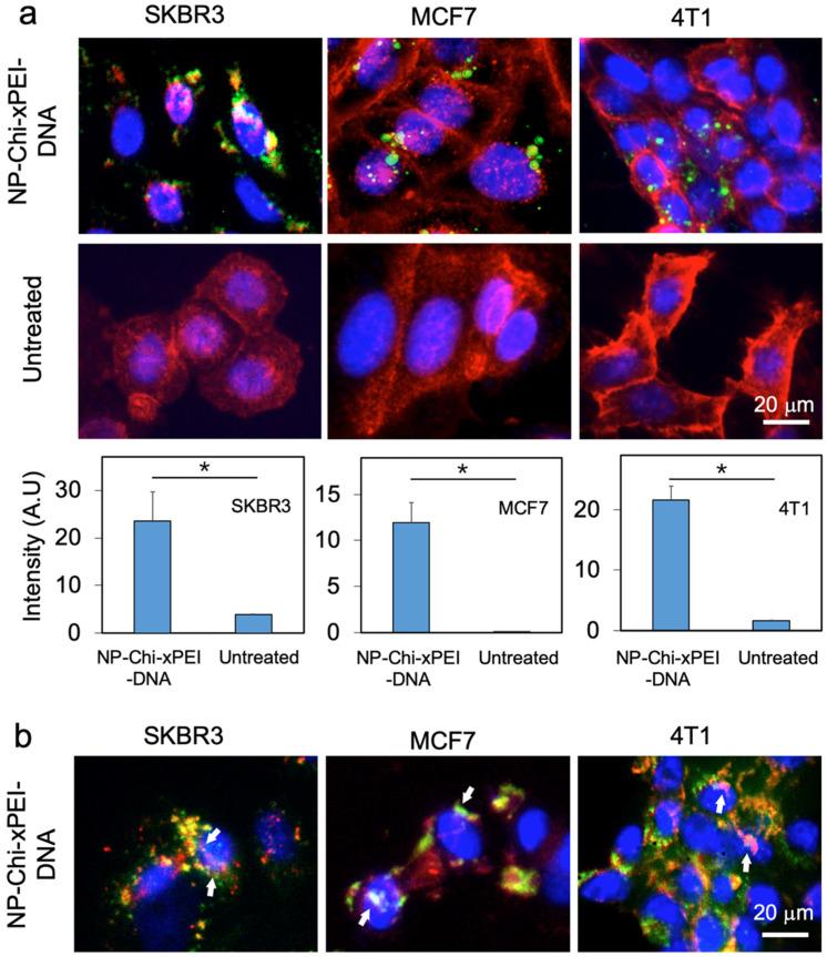 https://cdn.ncbi.nlm.nih.gov/pmc/blobs/6c4a/8876741/175781592eca/nanomaterials-12-00584-g006.jpg