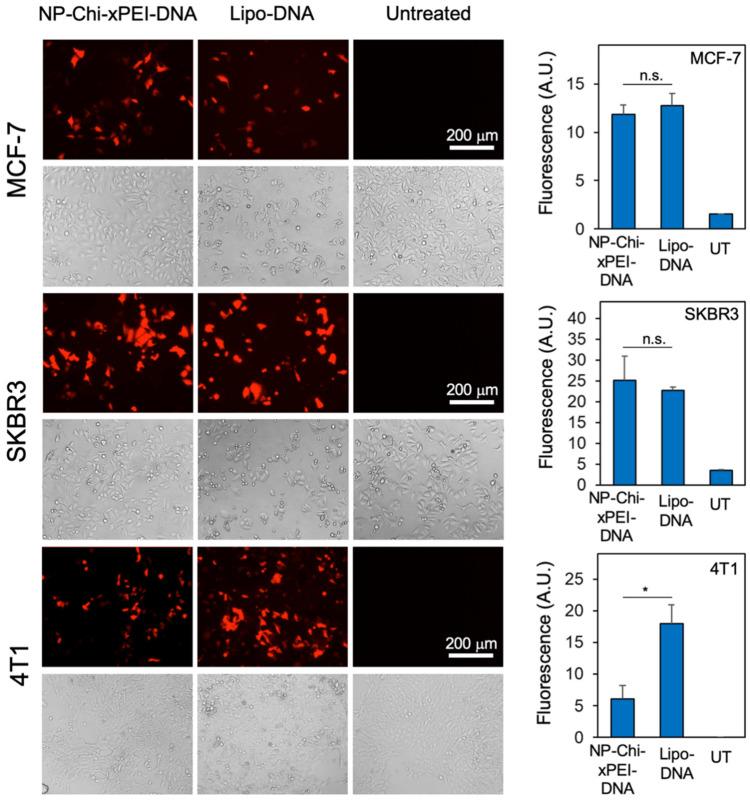 https://cdn.ncbi.nlm.nih.gov/pmc/blobs/6c4a/8876741/294d86427a60/nanomaterials-12-00584-g008.jpg