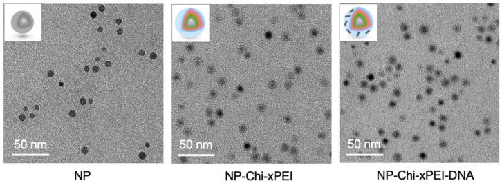 https://cdn.ncbi.nlm.nih.gov/pmc/blobs/6c4a/8876741/4d6421c41607/nanomaterials-12-00584-g005.jpg