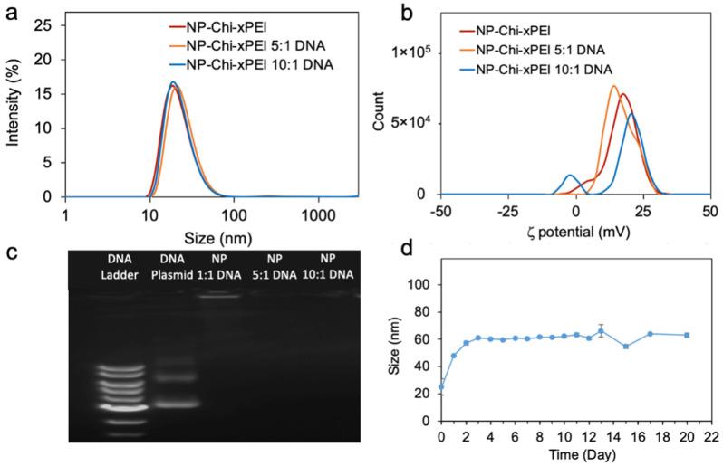 https://cdn.ncbi.nlm.nih.gov/pmc/blobs/6c4a/8876741/aca0b40d9457/nanomaterials-12-00584-g004.jpg