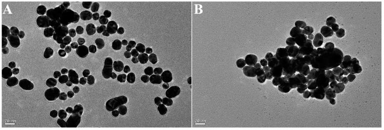 https://cdn.ncbi.nlm.nih.gov/pmc/blobs/6c4b/10889699/0b847dd4f672/ijms-25-02143-g010.jpg