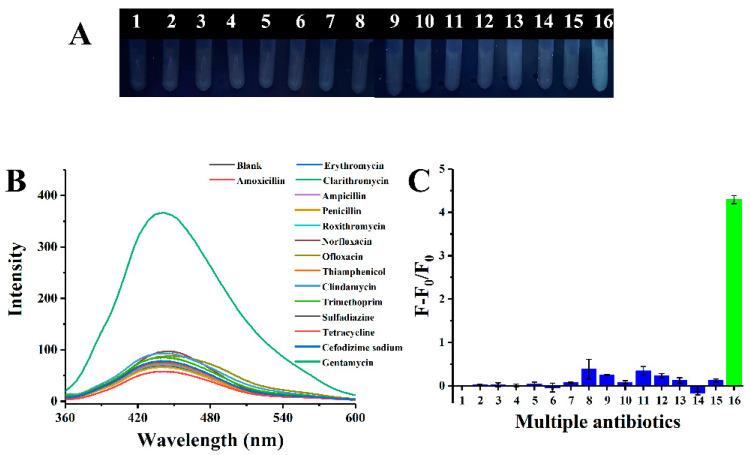 https://cdn.ncbi.nlm.nih.gov/pmc/blobs/6c4b/10889699/188ef57eadeb/ijms-25-02143-g012.jpg