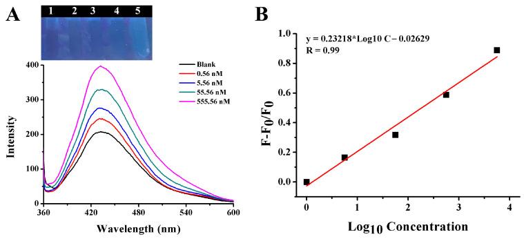 https://cdn.ncbi.nlm.nih.gov/pmc/blobs/6c4b/10889699/76c7f5eaf725/ijms-25-02143-g014.jpg