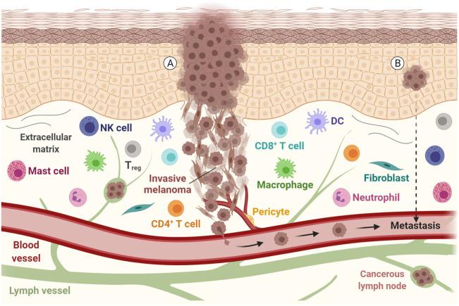 https://cdn.ncbi.nlm.nih.gov/pmc/blobs/6c4c/9048901/2fa22e76d578/fmolb-09-777775-g001.jpg