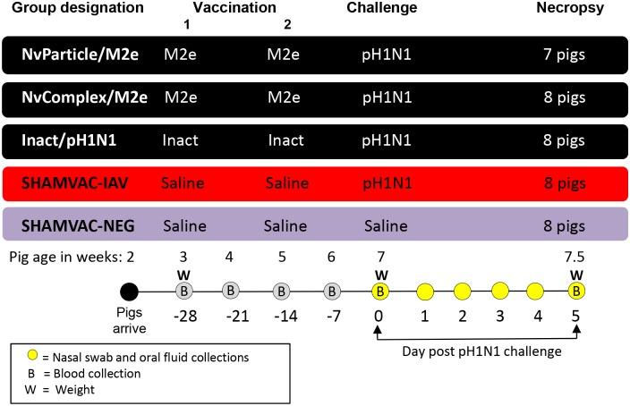 https://cdn.ncbi.nlm.nih.gov/pmc/blobs/6c50/5790244/f04508123062/pone.0191739.g001.jpg