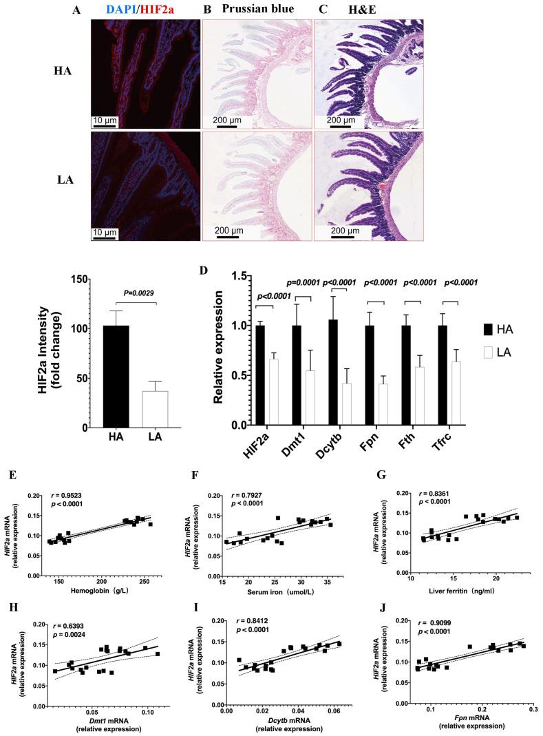 https://cdn.ncbi.nlm.nih.gov/pmc/blobs/6c52/10669251/5f005e0de19a/biomedicines-11-02992-g004.jpg