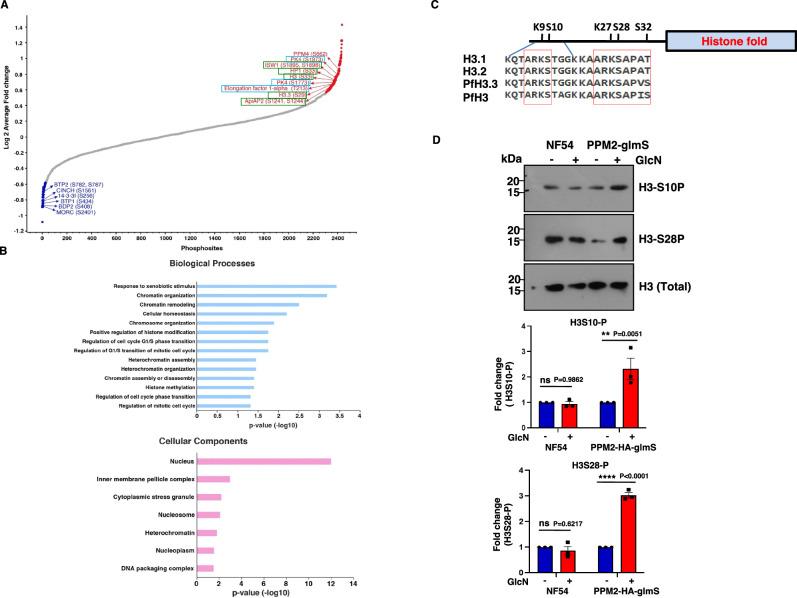 https://cdn.ncbi.nlm.nih.gov/pmc/blobs/6c53/12102381/73c9c6a3c443/41467_2025_59476_Fig2_HTML.jpg