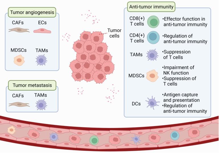 https://cdn.ncbi.nlm.nih.gov/pmc/blobs/6c55/10158024/b79f8aaa66b5/ijbsv19p2198g001.jpg