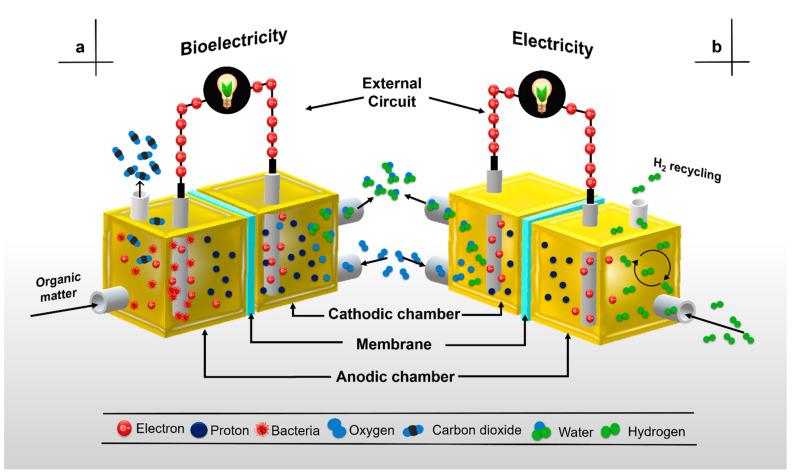 https://cdn.ncbi.nlm.nih.gov/pmc/blobs/6c56/8539572/5e35159ff575/membranes-11-00738-g001.jpg