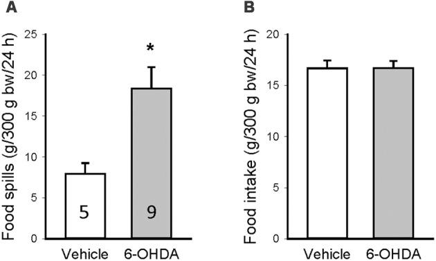 https://cdn.ncbi.nlm.nih.gov/pmc/blobs/6c57/6474391/4360b819a857/fnint-13-00013-g0005.jpg