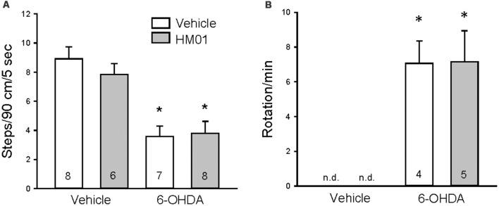 https://cdn.ncbi.nlm.nih.gov/pmc/blobs/6c57/6474391/79ba8fb118aa/fnint-13-00013-g0003.jpg