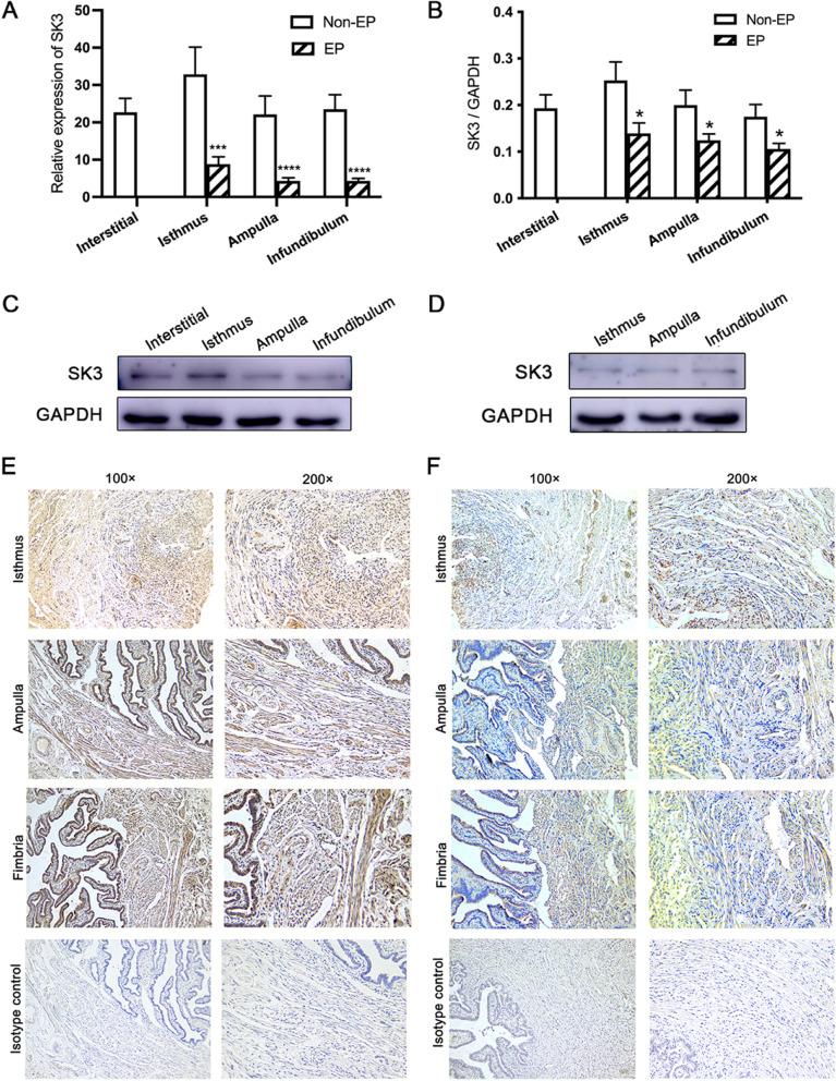 https://cdn.ncbi.nlm.nih.gov/pmc/blobs/6c58/9052544/00bda0ed73e3/12958_2022_932_Fig2_HTML.jpg