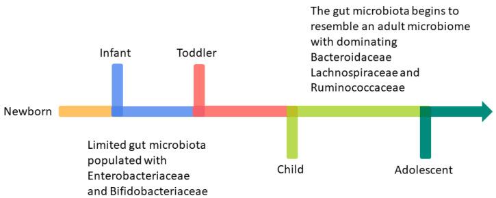 https://cdn.ncbi.nlm.nih.gov/pmc/blobs/6c59/11356122/0abbc782cf25/microorganisms-12-01582-g003.jpg